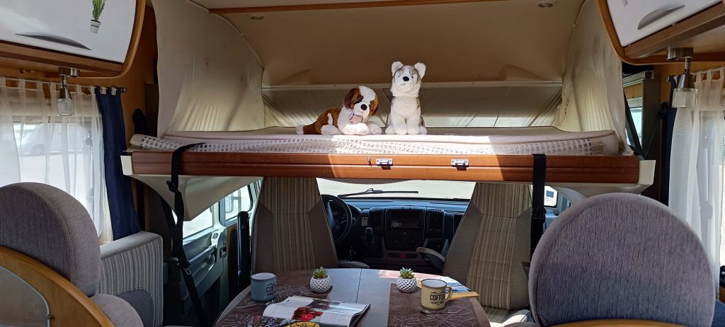 tiny pilote 1 (87)